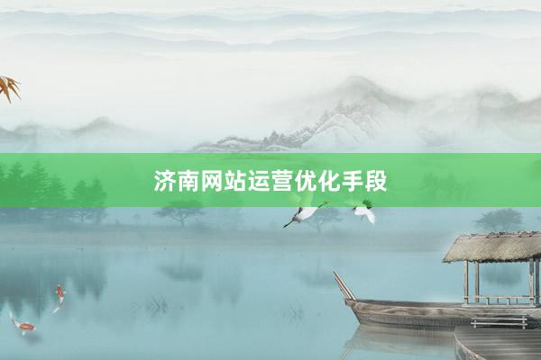 济南网站运营优化手段